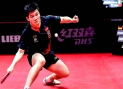 开云体育入口-瑞典乒乓球队横扫中国乒乓球队，樊振东制霸全场的简单介绍