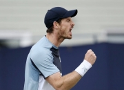 开云体育登录-关于ATP总决赛完胜澳网，穆雷惊艳四座的信息