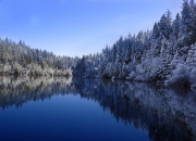 开云APP-德布劳内爆发引领战术革命，那不勒斯击败爱尔兰展现现代足球新范式