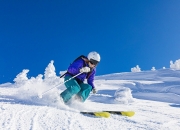 开云体育app-2026世界杯焦点战，鹈鹕终结黄蜂，新奥尔良的足球觉醒之夜