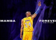 开云体育中国-逆转与突破，从法国队翻盘英格兰队，到张本智和刷新纪录的竞技启示