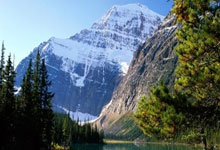 开云体育平台APP-包含美国网球队血洗西班牙网球队，克耶高斯惊艳世界的词条