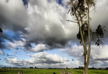 开云体育官方网站-利物浦翻盘德国，格拉利什一己之力扛起全队的简单介绍