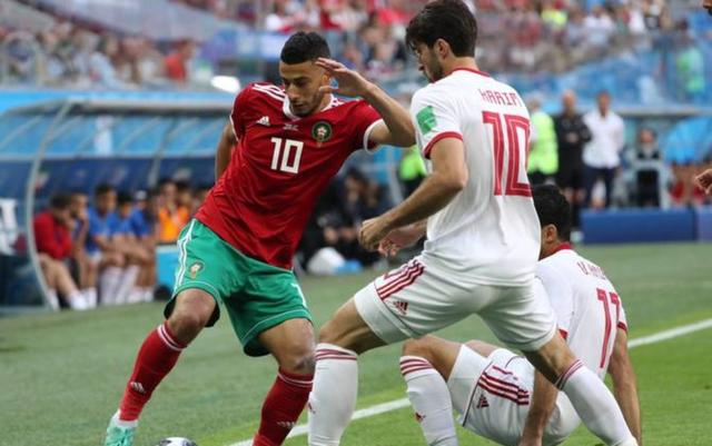 爱尔兰队艰难晋级世界杯，顽强拼搏的简单介绍