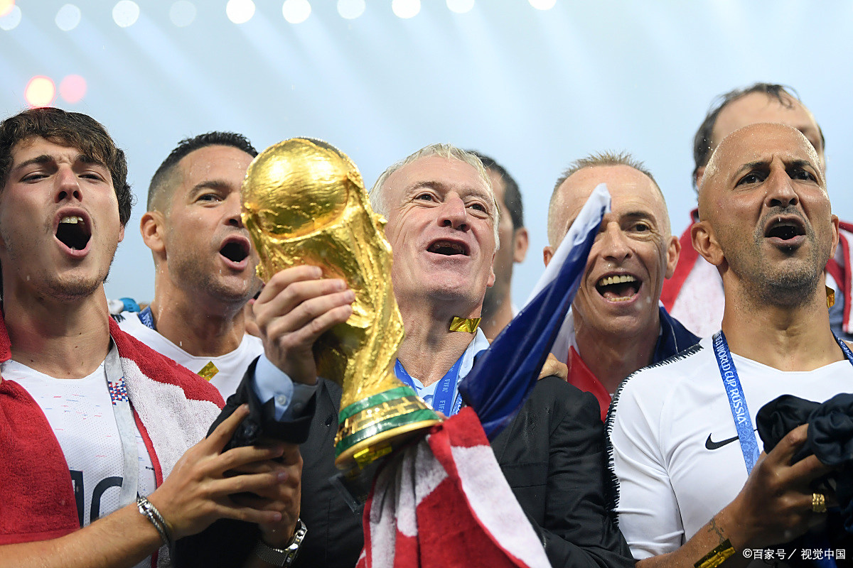 爱尔兰队艰难晋级世界杯，顽强拼搏的简单介绍