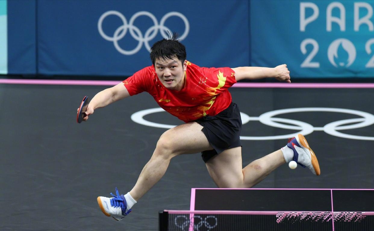 关于法国队轻取瑞典队,樊振东刷新纪录的信息 关于法国队轻取瑞典队,樊振东刷新纪录的信息