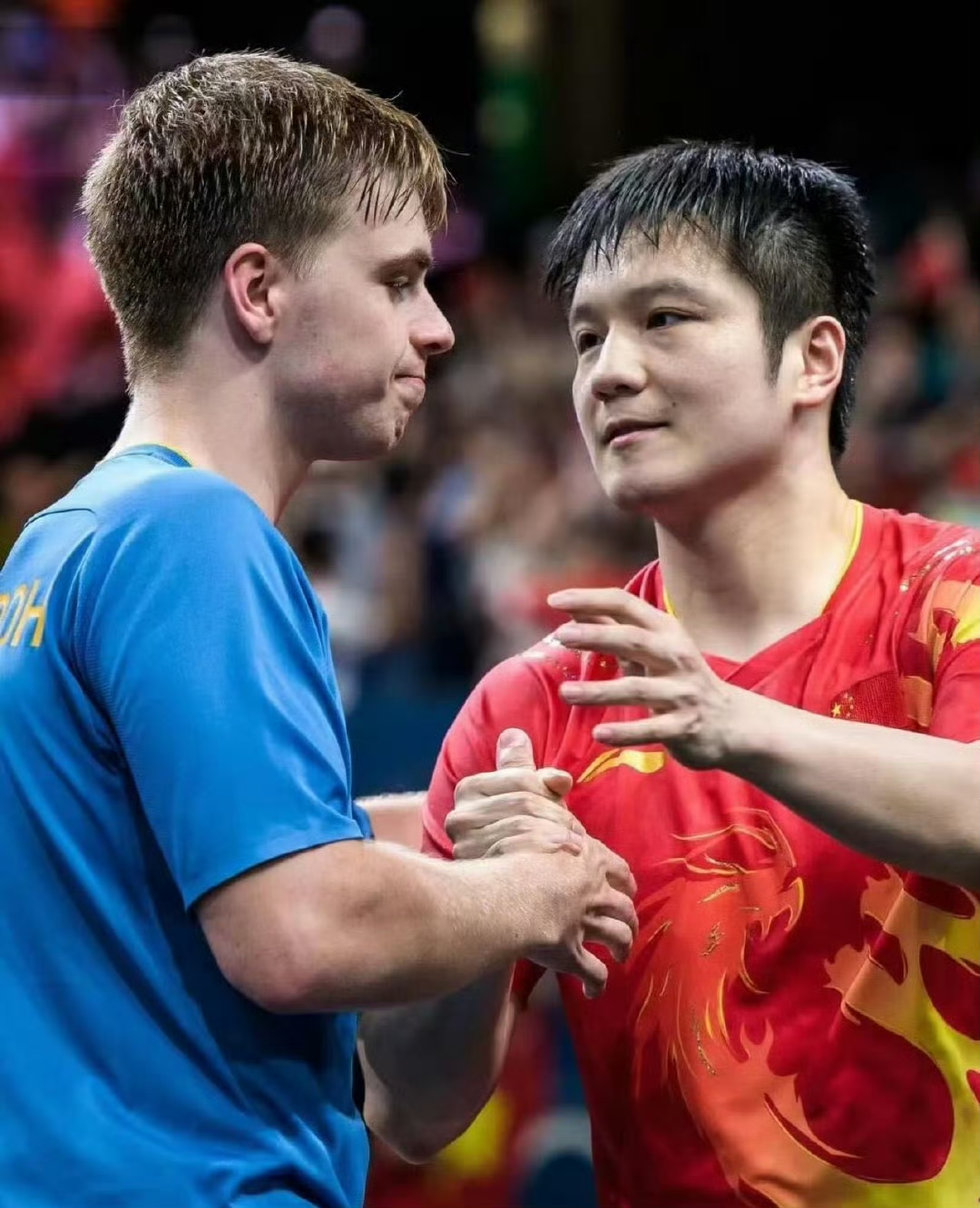 瑞典队完胜日本队,樊振东关键制胜 瑞典队完胜日本队,樊振东关键制胜