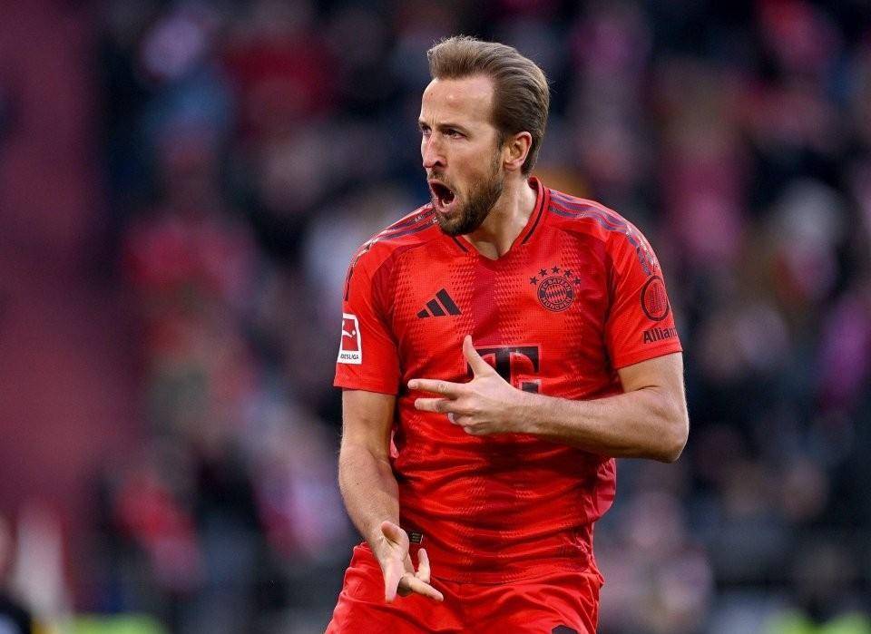 关于英格兰完胜韩国，哈里·凯恩惊艳世界的信息