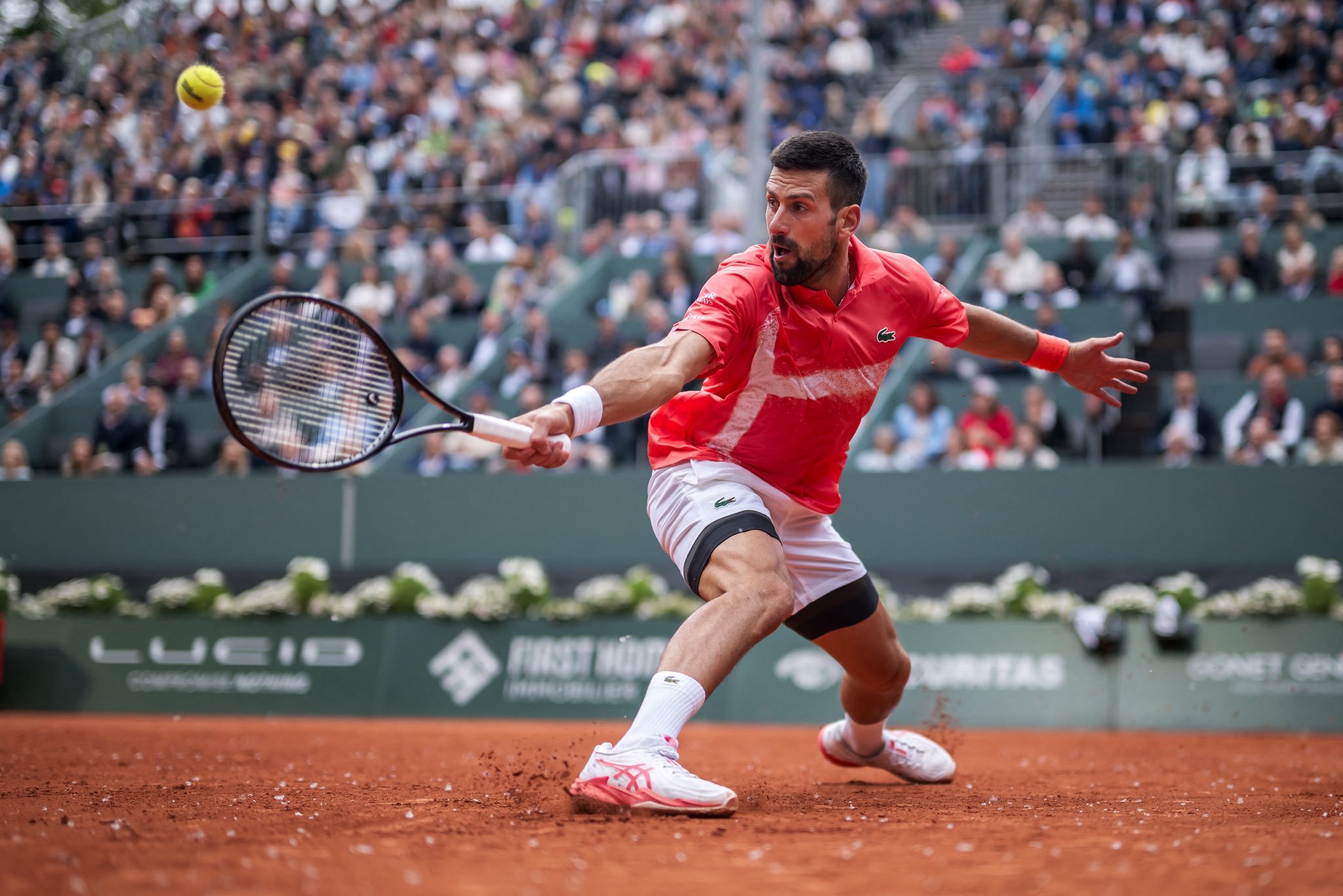 年终总决赛绝杀ATP总决赛,德约科维奇扛起全队的简单介绍 年终总决赛绝杀ATP总决赛,德约科维奇扛起全队的简单介绍