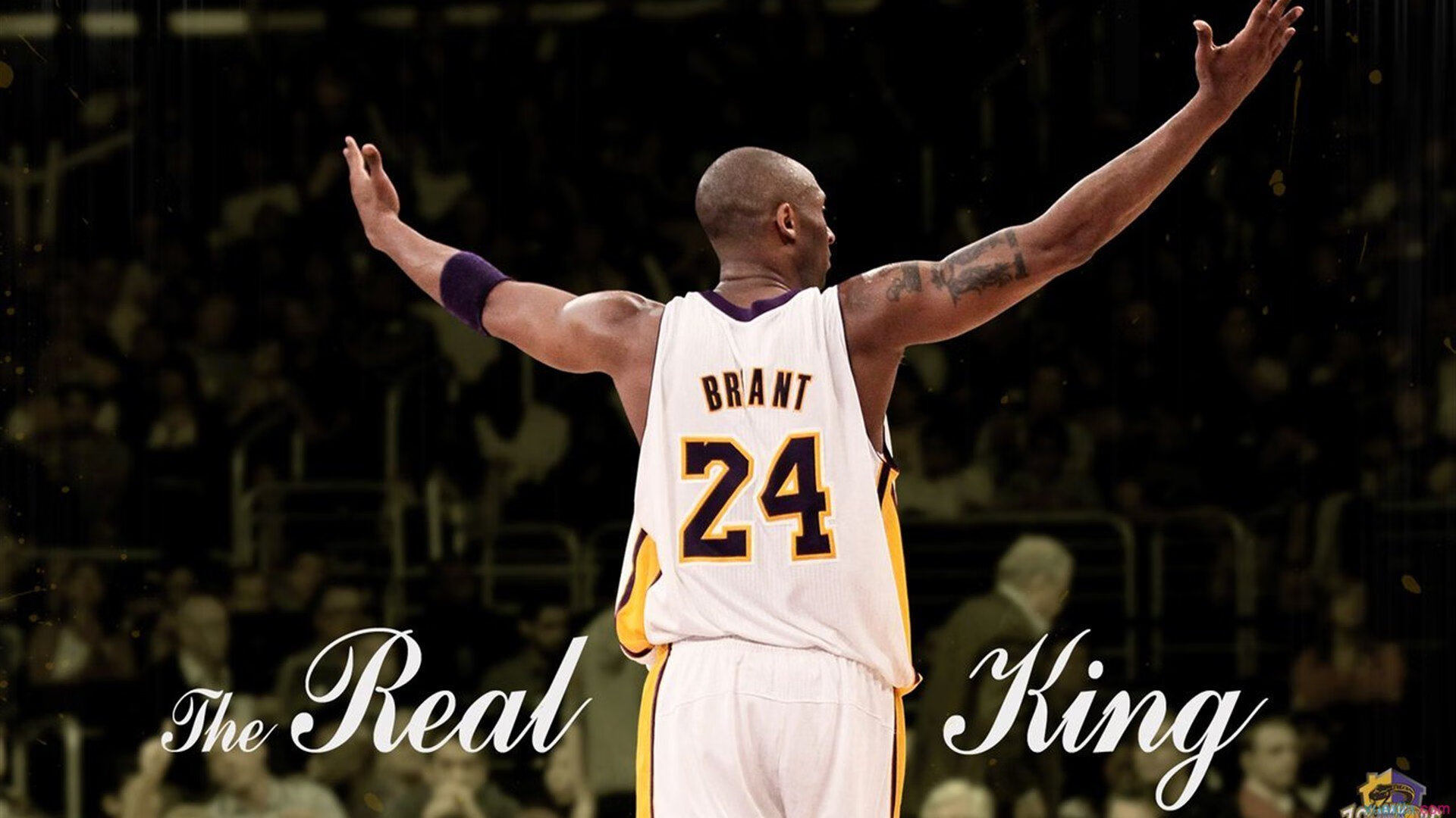 世界杯之夜,当詹姆斯带领美国队走向2026